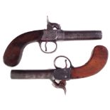 Two Percussion box lock pistols, with turn off barrels and scroll engraved actions, (2) 18cm long