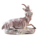 18th century English porcelain model of a recumbent goat, probably Derby, no marks to base, 10cm