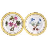 Pair of Derby 216 service plates circa 1790, painted with titled specimens Althea Marsh Mallow,