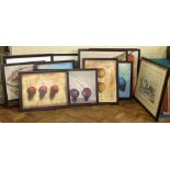 A selection of large framed modern prints, mainly of fruit and vegetables Condition reports are