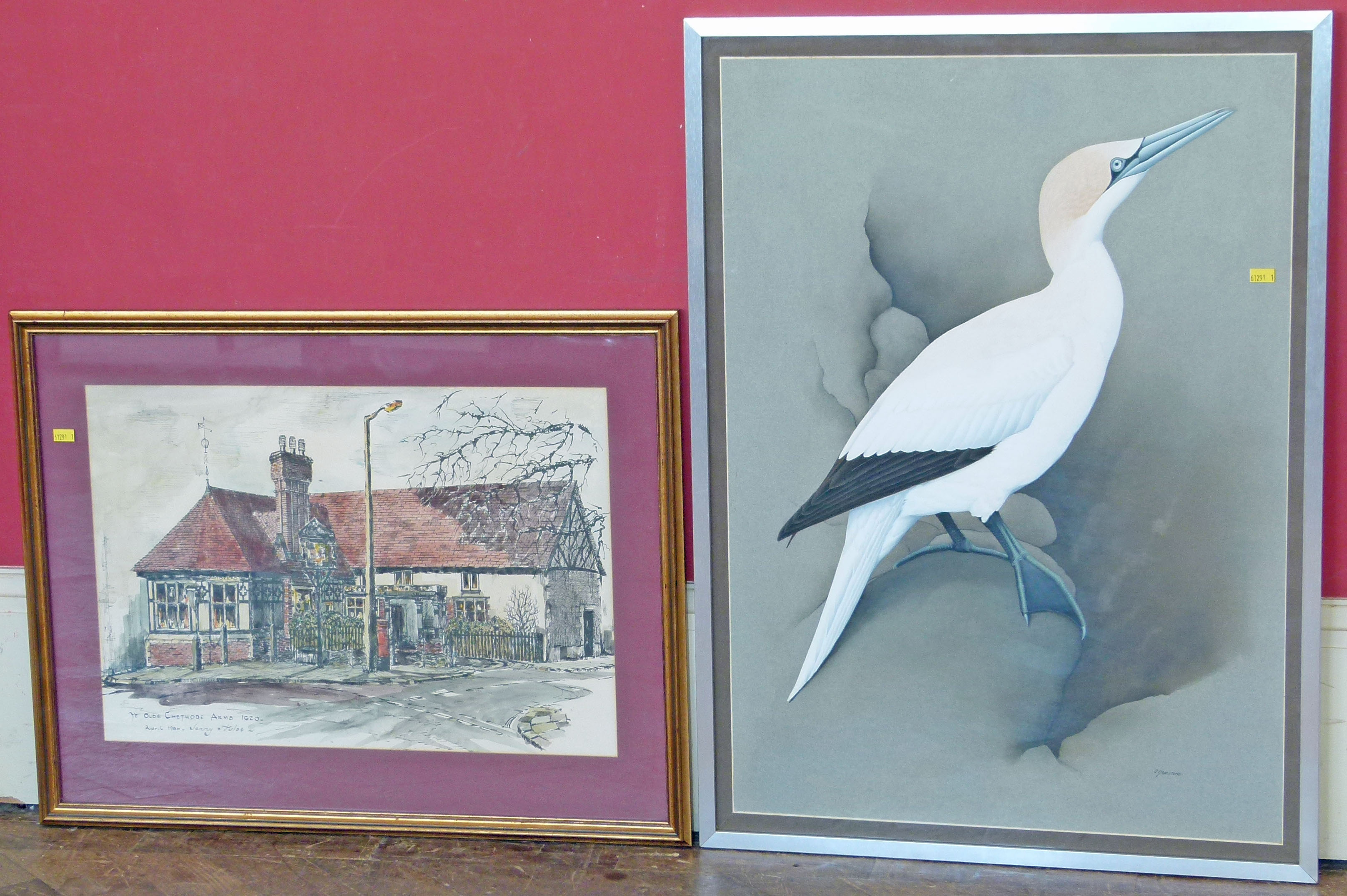 Andy Graystone, 20th century portrait of a Gannet Gouache painting, together with a picture of "Ye