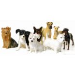 Six Beswick medium size dog models and two others (Condition: no damage or restoration) Condition