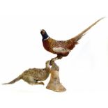 Two stuffed pheasents Condition reports are not available for this auction