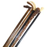 Two ebony walking canes with ivory handles and three others. Condition reports are not available for