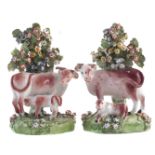 Pair of Derby cow and calf groups,