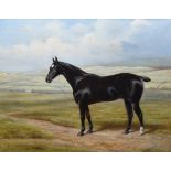 English School, 20th century, Portrait of a horse, oil.