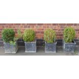 Four square lead effect planters containing box hedging Condition reports are not available for
