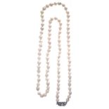 A cultured pearl necklace,