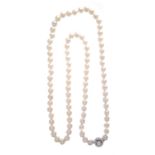 A cultured pearl necklace,