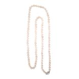 A cultured pearl necklace,