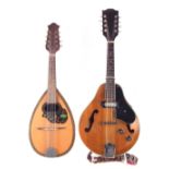 Salterio bowl back mandolin and one other mandolin fitted with pickup