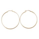 A pair of hoop earrings,