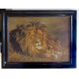 Gertie Edwards lions study dated 1913 oil on canvas Condition reports are not available for our