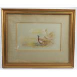 James Stinton, watercolour, cock and hen pheasant, 5.75ins x 9insCondition Report: Condition