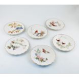 A set of six Royal Worcester plates, decorated with the birds of Dorothy Doughty, diameter