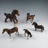 Five Beswick models, of bay ponies, to include a shire and a shetlandCondition Report: Smallest