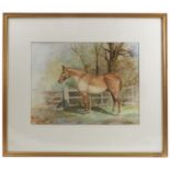 C J Roche, watercolour, Kit, study of a chestnut horse in landscape, 11.5ins x 15ins