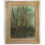 An English School oil on canvas, woodland scene with trees and pond, 23ins x 16.5ins