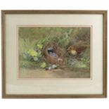 R H Austin, watercolour, Thrushes nest and eggs, 8ins x 11ins