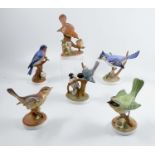 Ten Royal Crown Staffordshire bird models, blue jay number 74, bluebird number 71 (2), yellow throat