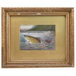Roland Knight, pair of watercolours, studies of fish, 4ins x 5.5ins