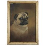 J B Mathews, oil on panel, study of a Pug dog, dated 1879, 13ins x 9insCondition Report: There are