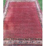 An Eastern style rug, with large red ground field, 100ins x 71ins