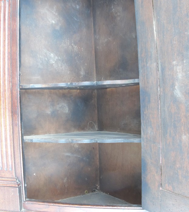 An antique oak corner cupboard, the door having field panel decoration, opening to reveal fitted - Image 2 of 2