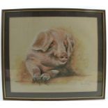 Jane Evans, pair of watercolours, studies of pigs, 12ins x 14ins