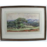 A 20th century English watercolour, rural landscape with fields, trees and hills beyond, monogrammed