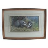 C David Johnston, watercolour, two badgers in landscape, 6.25ins x 12.25ins (D)