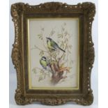 A Royal Worcester porcelain plaque, decorated with Great Tits and catkins by Edward Townsend,