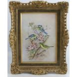 A Royal Worcester porcelain plaque, Birds at Play painted by Edward Townsend, dated 1972, 9.5ins x