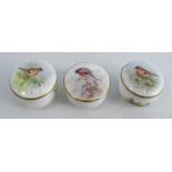 Three Royal Worcester patch boxes, each decorated with English birds, signed PowellCondition Report: