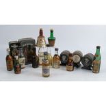 A collection of Whisky and other miniatures, to include Martell, Paddy, Glenfiddich, Bell's etc