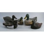 Five painted wooden decoy ducks, length 14.5ins and down