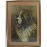 Freeman, oil on paper, portrait of a St Bernard, 1932, 19.5ins x 14ins