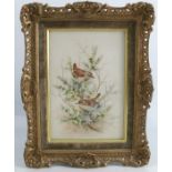A Royal Worcester porcelain plaque, decorated with Wrens on gorse by Edward Townsend, dated 1975,