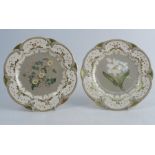 A pair of 19th century Rockingham botanical plates, C-scroll shape with flower centres on grey