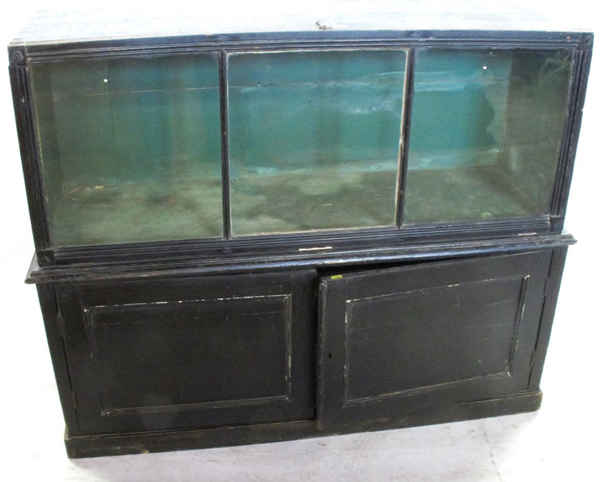 An ebonised Regency style museum cabinet, with display and storage space, width 50ins, depth 15.