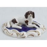 A 19th century Staffordshire porcelain model, of a spaniel on a blue cushion and gilt scroll base (