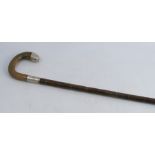 A Victorian horn handled walking stick, with hallmarked silver collar and cap, with presentation