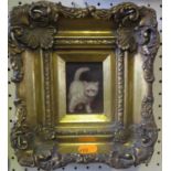 A Small Picture of a Kitten in heavy gilt frame