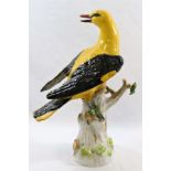 A 19th century Meissen porcelain figure of a golden oriole,