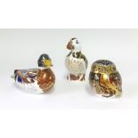 Royal Crown Derby, three paperweights including Owl.