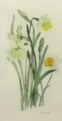 Roberta Scott, a pair of watercolours of flowers, signed and dated 1998, 28cm x 15cm.