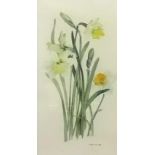 Roberta Scott, a pair of watercolours of flowers, signed and dated 1998, 28cm x 15cm.