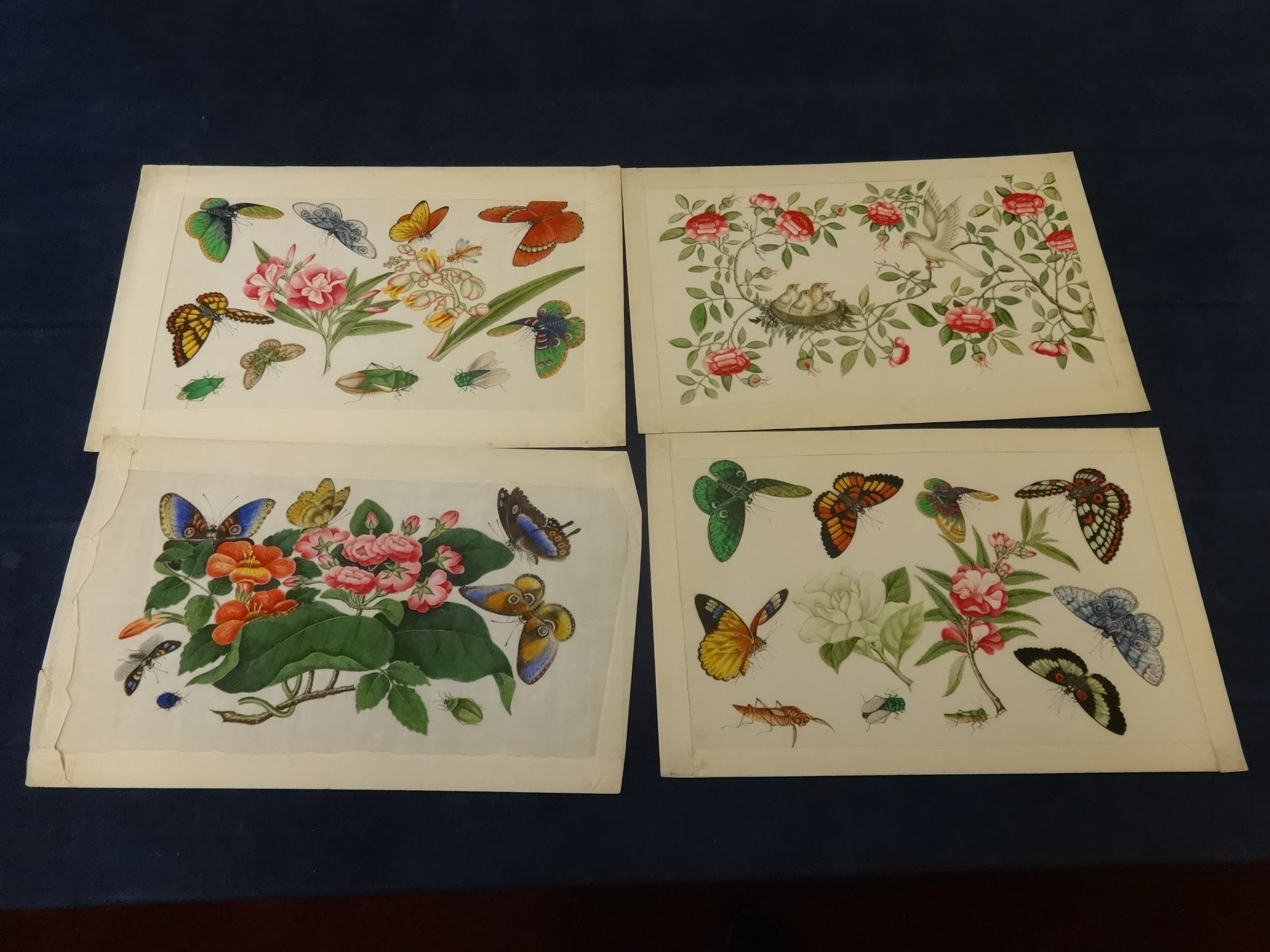 A collection of 13 antique Chinese hand painted rice paper paintings, each approx 18cm x 13cm, - Image 2 of 8