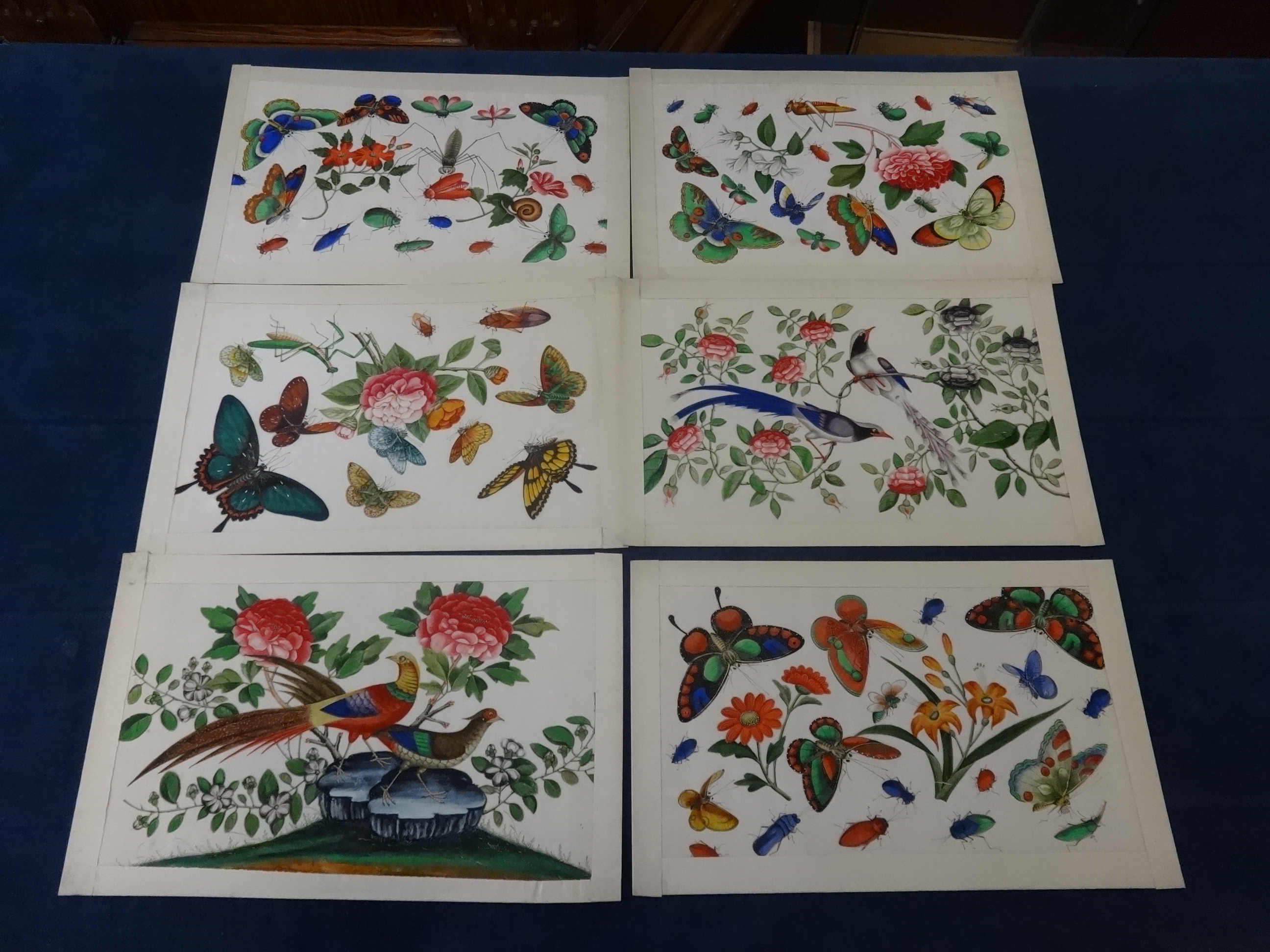 A collection of 13 antique Chinese hand painted rice paper paintings, each approx 18cm x 13cm, - Image 3 of 8