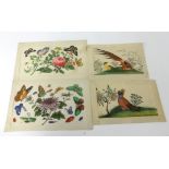 A collection of 13 antique Chinese hand painted rice paper paintings, each approx 18cm x 13cm,